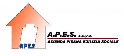 Logo A.P.E.S.