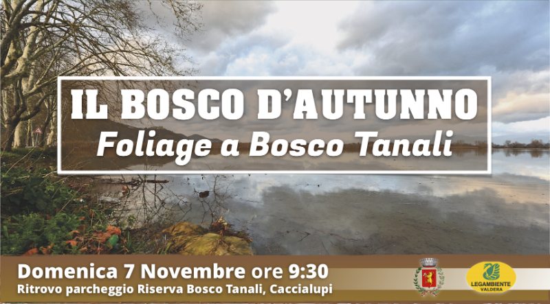 Il Bosco D'Autunno - Foliage a Bosco Tanali