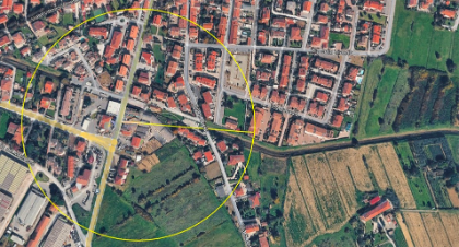 Ordinanza Disinfestazione Straordinaria