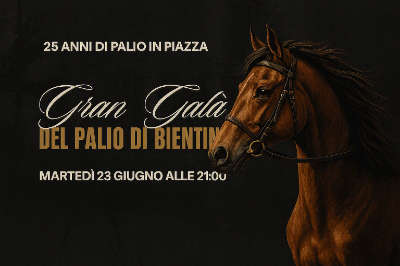 Gran Galà del Palio - Banner