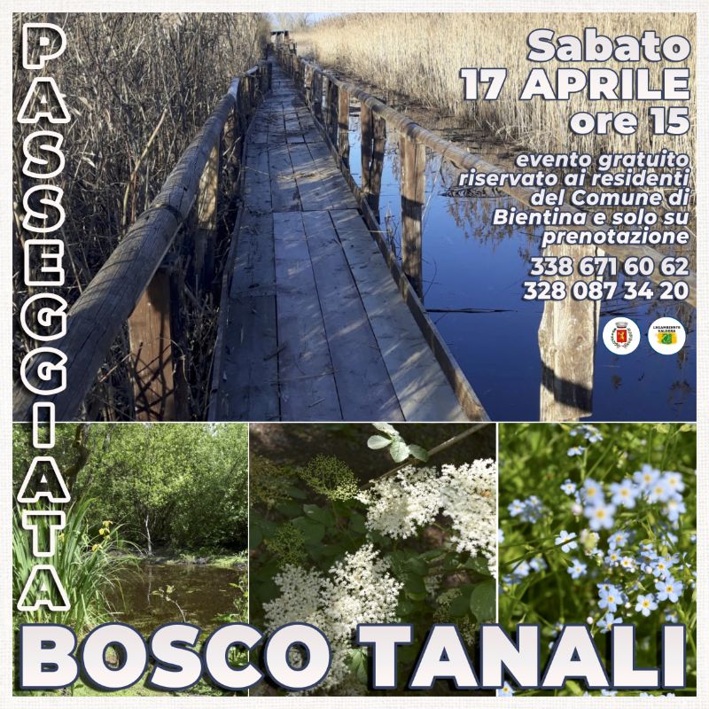 Immagine brochure Passeggiata Bosco Tanali