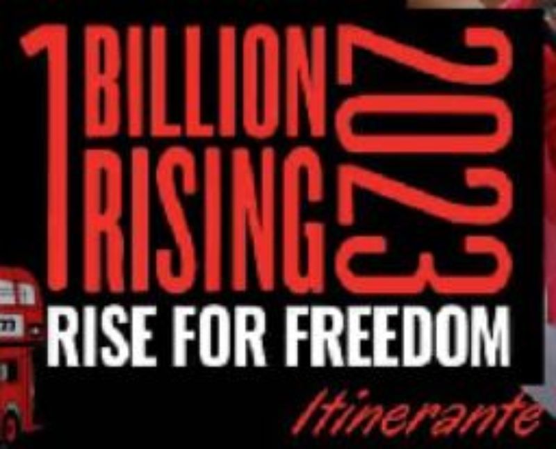 One Billion Rising - Banner
