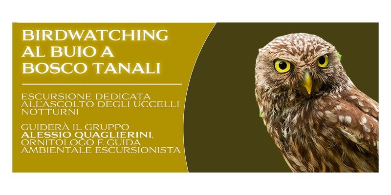 Birdwatching al buio - 16 Giugno 2023 - Banner