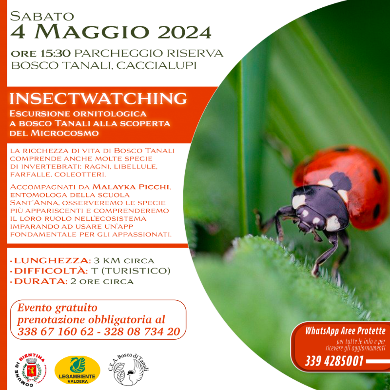 Insectwatching 4 Maggio - Immagine brochure