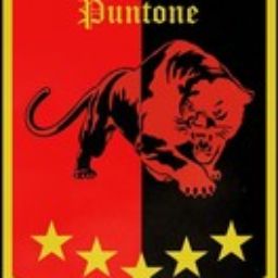 Contrada Puntone
