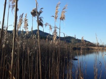 Bosco Tanali - Passeggiare tra storia e leggenda nella Riserva Bosco Tanali