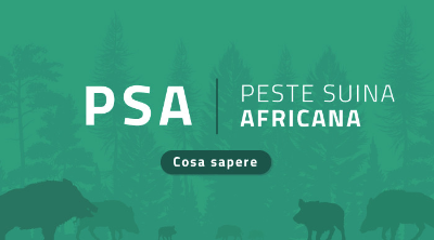 Peste Suina Africana - Banner