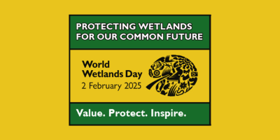 WWD 2025 banner
