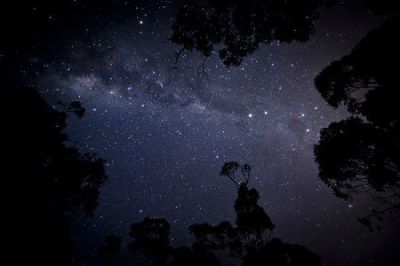 Bosco di Tanali - Cielo Stellato