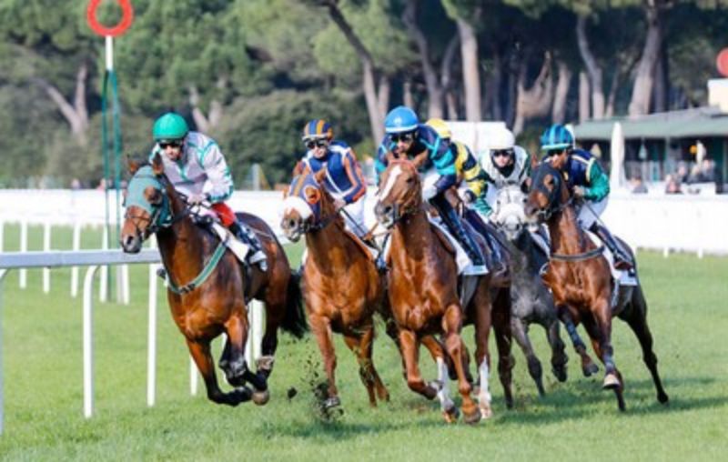 Palio dei Comuni - Immagine Corsa - Banner