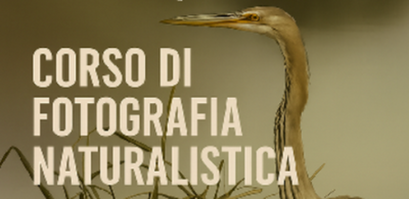 Corso fotografia naturilistica - Banner