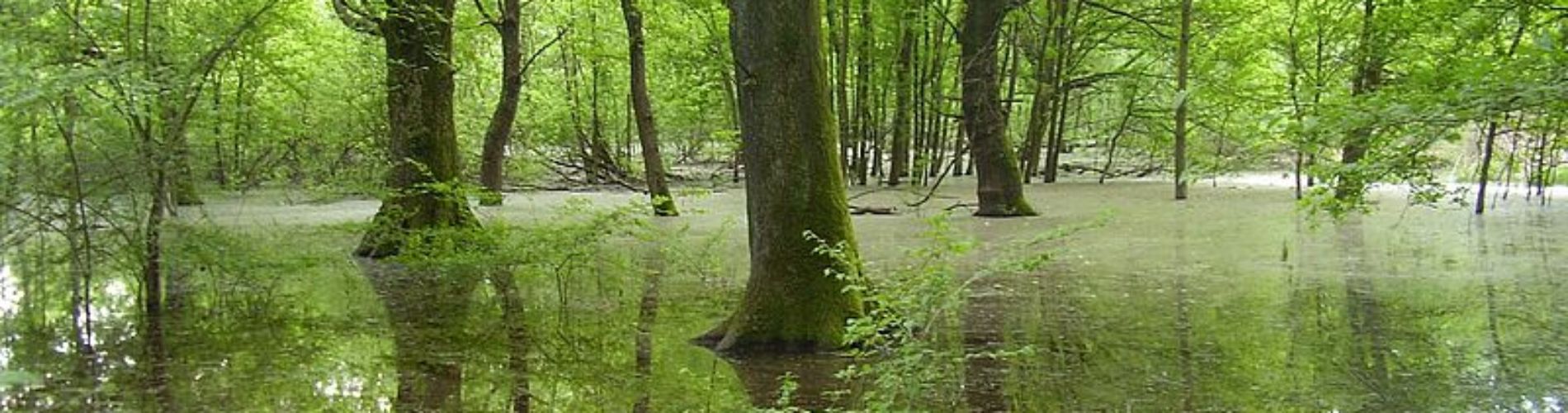 Aree Naturali Protette