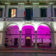 Logge rosa - Fotografia1