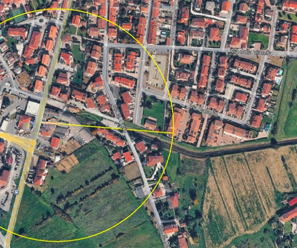 Ordinanza Disinfestazione Straordinaria