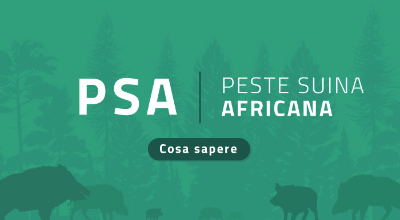Peste Suina Africana - Banner