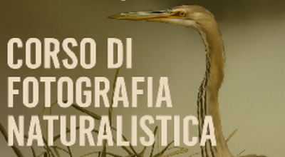 Corso fotografia naturilistica - Banner