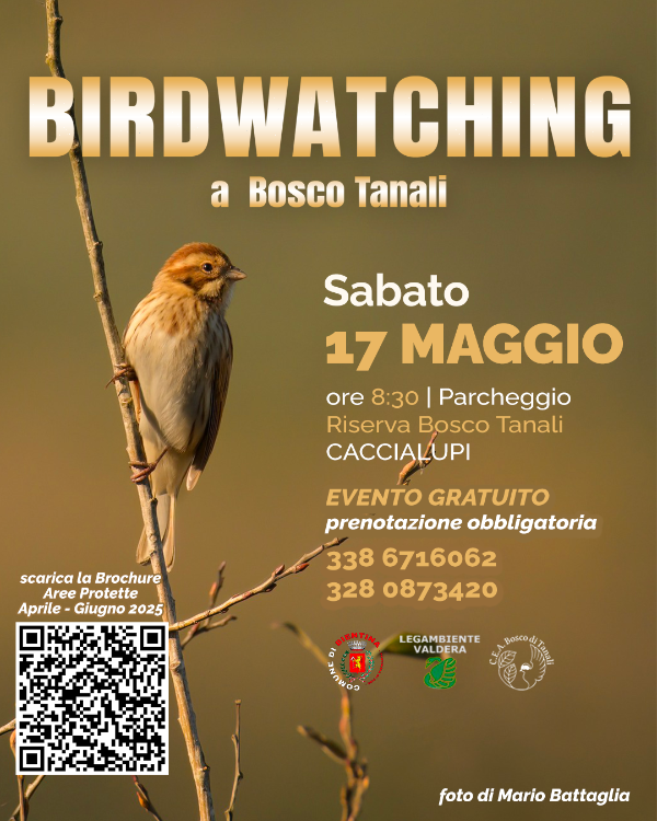 Birdwatching - 17 Maggio 2025 - Locandina