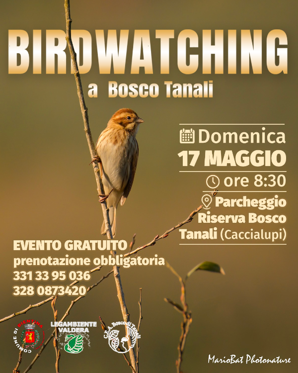Birdwatching 17 maggio 2026 - Locandina