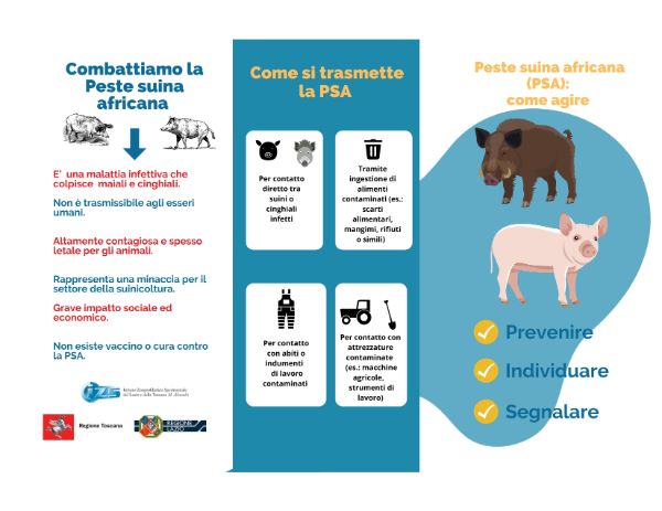 Peste Suina Africana - Come agire - Brochure_1